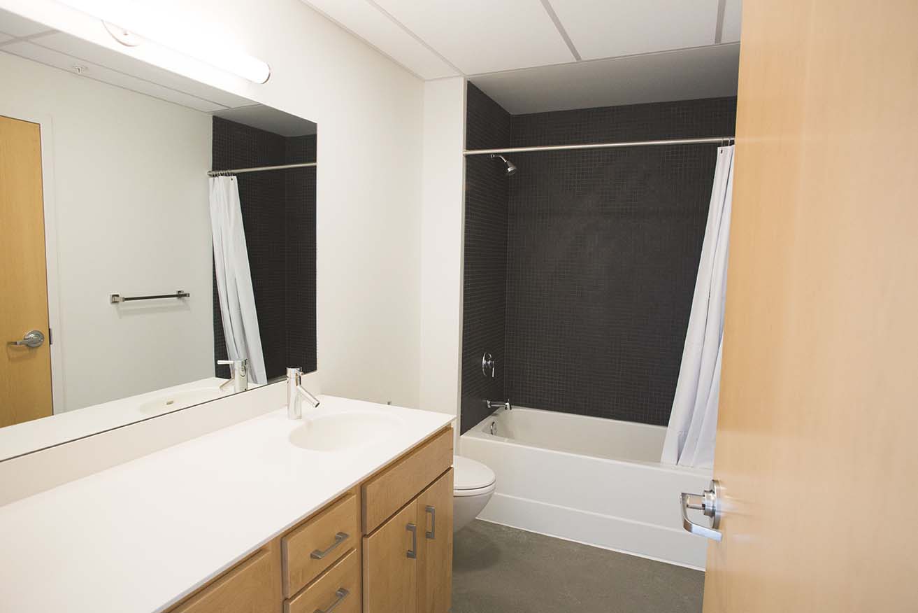 Interior image of modern bathroom. Dual vanities, and a tub with shower.